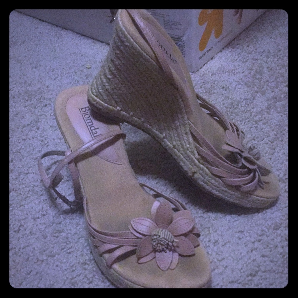 Bjorndal Wedges